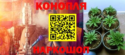 прущие крисы Лесосибирск