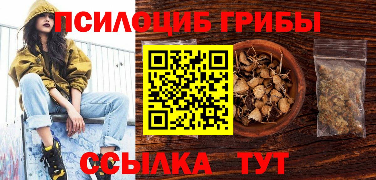 Псилоцибиновые грибы GOLDEN TEACHER  купить   Иваново  Вход с VPN 