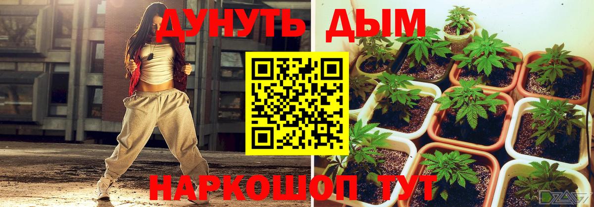 МАРИХУАНА индика Иваново